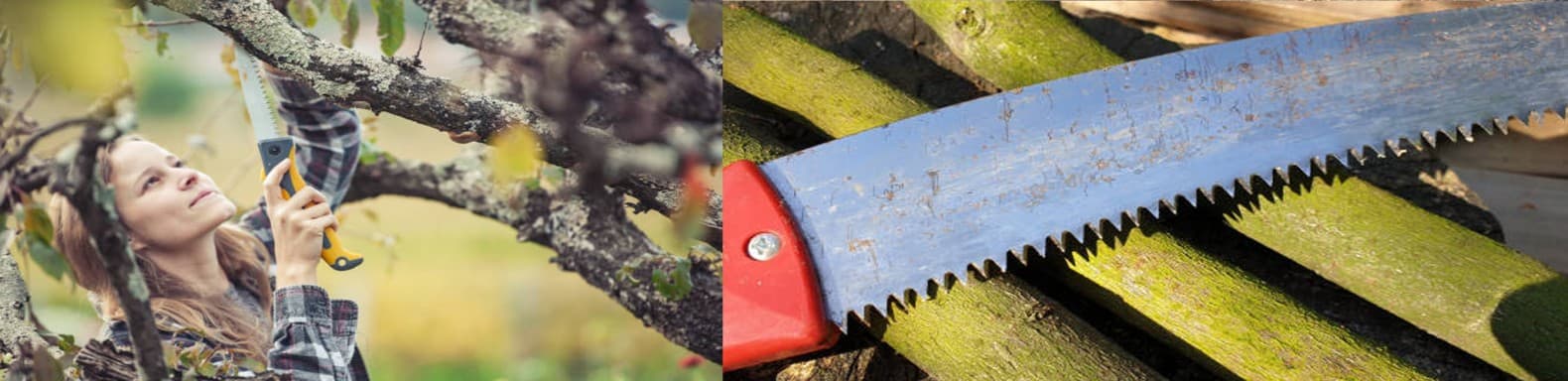 Hand Tools