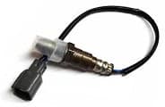 Oxygen Sensors