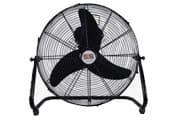 Fans