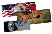 Rear Window Graphics