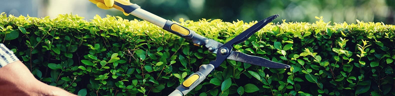 Hand Tools